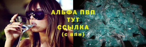 крисы Алзамай
