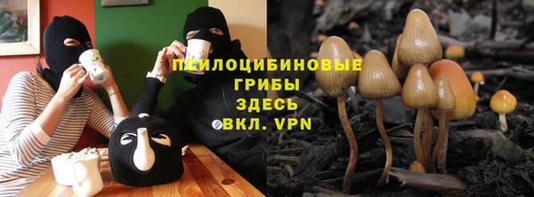 метамфетамин Алексеевка